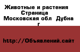 Животные и растения - Страница 2 . Московская обл.,Дубна г.